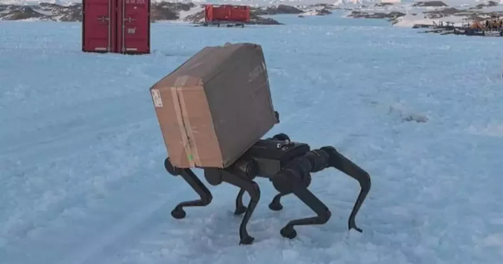 robot dog