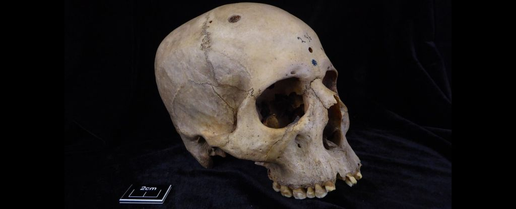 Skull Found in Egypt Reveals Secrets of Ancient Africa's Top Predator! 3 image 341