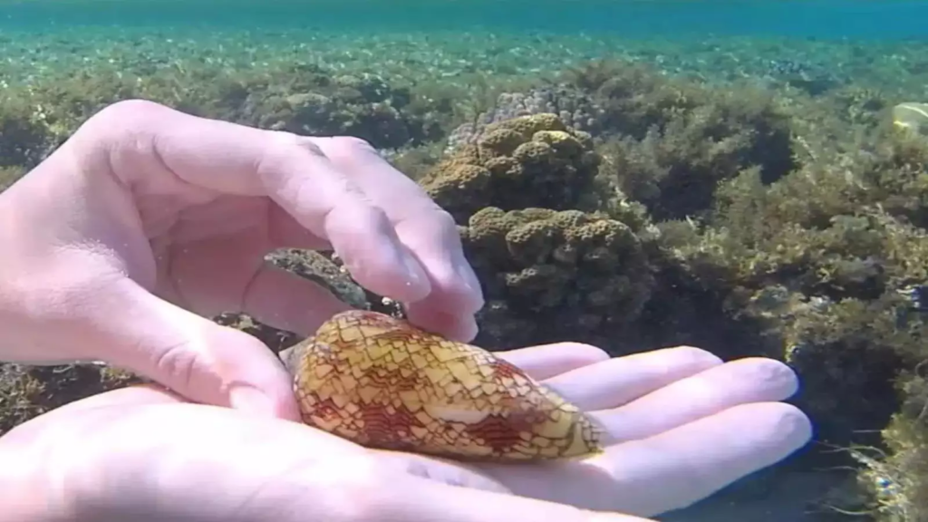 Terrifying Underwater Discovery Leaves Man Questioning His Luck! 2 Underwater