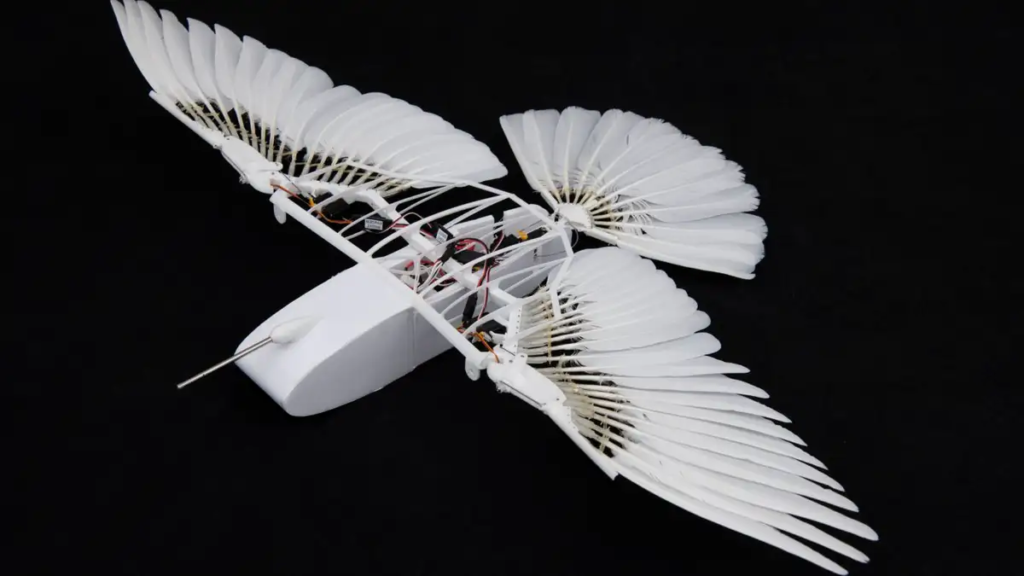 Robot Bird Without A Tailfin Flies In The Sky Leaving Everyone In Shock! 2 image 457
