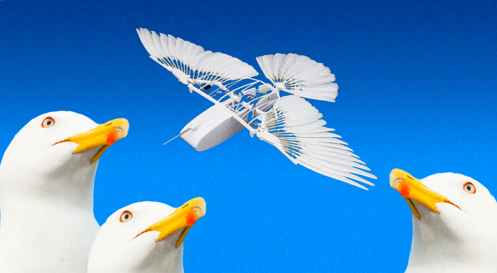 Robot Bird Without A Tailfin Flies In The Sky Leaving Everyone In Shock! 3 image 458